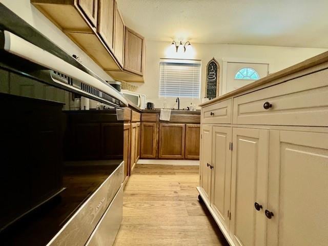 kitchen with light wood-type flooring