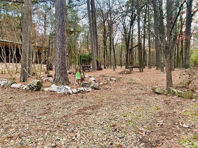 view of local wilderness