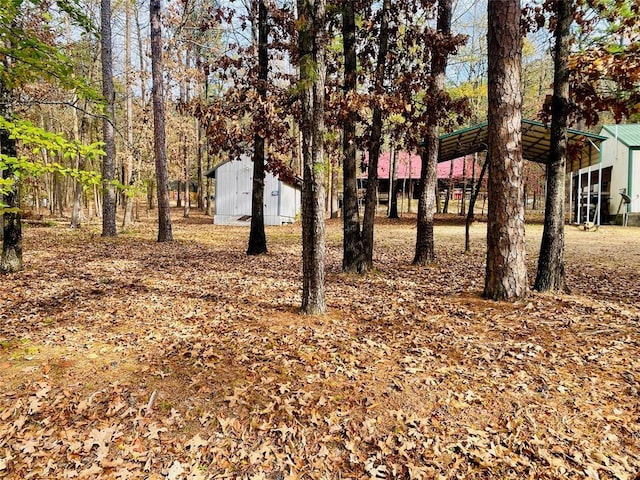 view of yard with an outbuilding