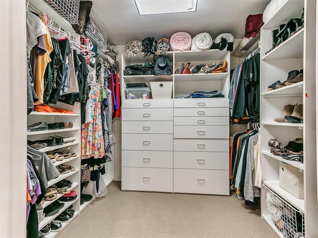 spacious closet featuring light colored carpet