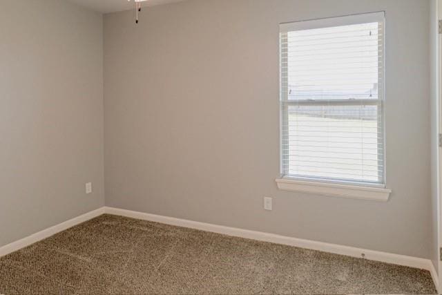 spare room featuring carpet flooring and a wealth of natural light