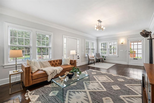 living room with a healthy amount of sunlight, dark wood-type flooring, and a chandelier