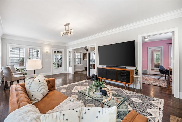 living room with ceiling fan with notable chandelier, crown molding, and dark wood-type flooring