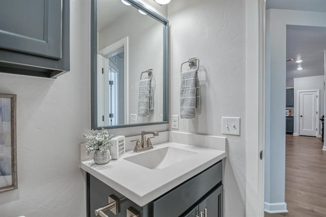 bathroom with vanity and wood-type flooring