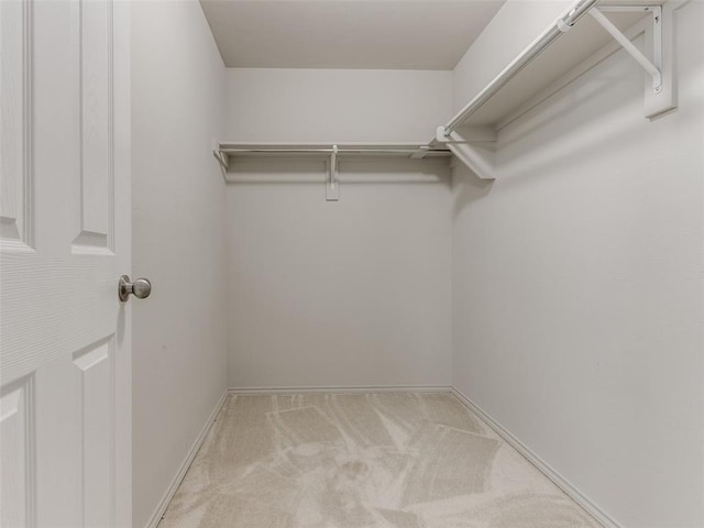 spacious closet featuring light colored carpet