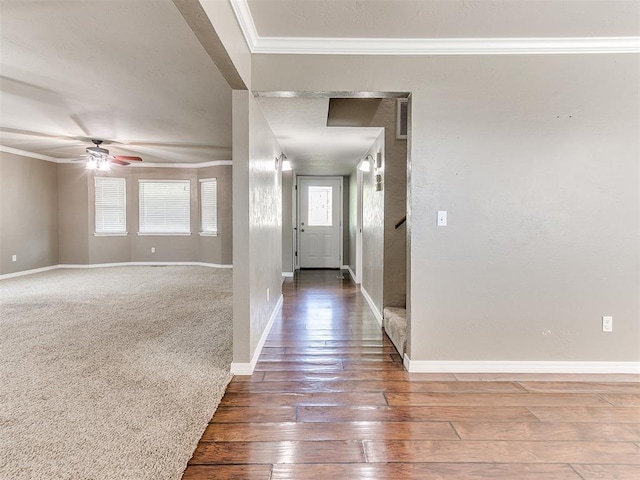 entryway featuring hardwood / wood-style floors, ceiling fan, and crown molding