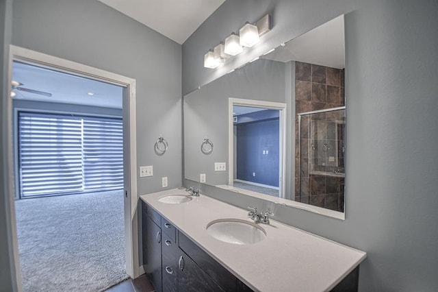 bathroom with vanity and walk in shower