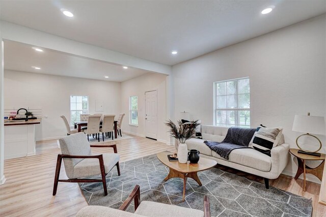 living room with wood-type flooring