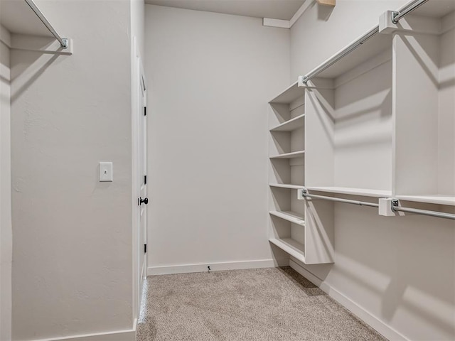 spacious closet featuring light colored carpet