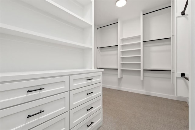 spacious closet featuring light carpet