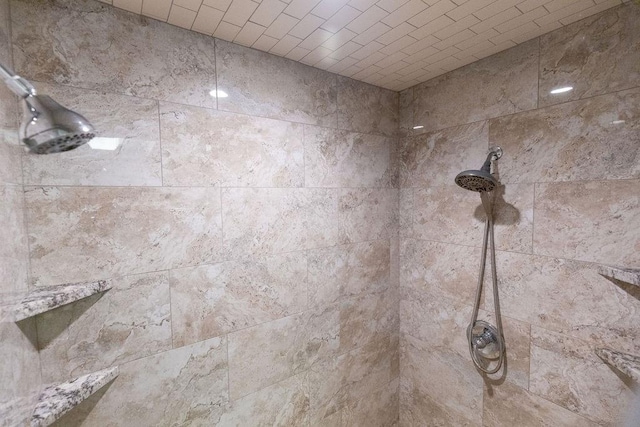 interior details with tiled shower