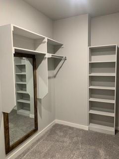 spacious closet featuring carpet flooring