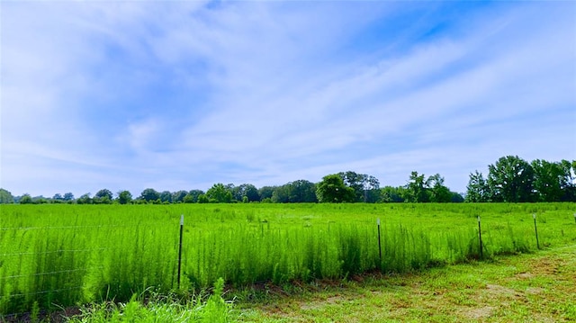 view of nature with a rural view