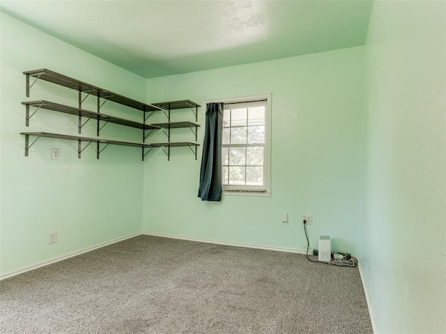 interior space with carpet floors