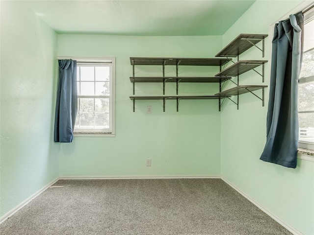 spacious closet with carpet