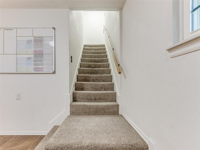 stairs with carpet flooring