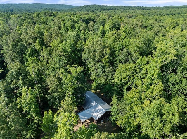 67 Eg Ln, Broken Bow, OK 74728 - photo 6