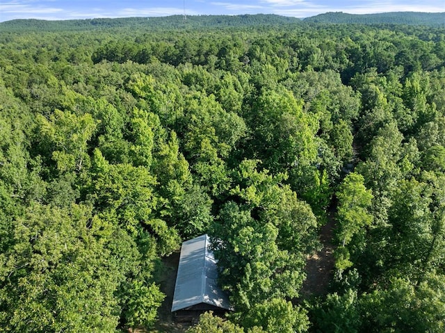67 Eg Ln, Broken Bow, OK 74728 - photo 43