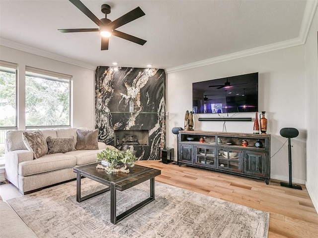 living room with crown molding, a fireplace, and wood-type flooring