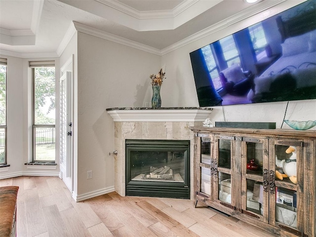 details featuring a raised ceiling, crown molding, and hardwood / wood-style floors