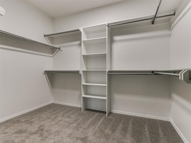 spacious closet with carpet flooring