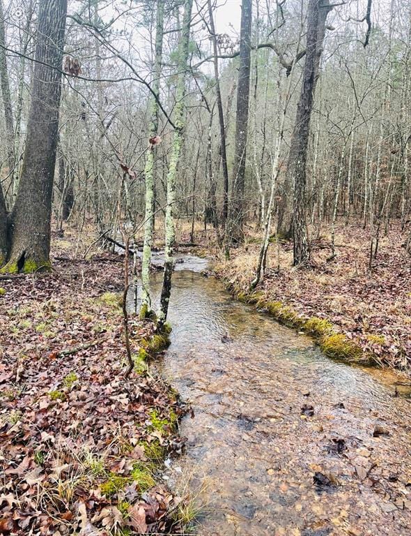 view of local wilderness