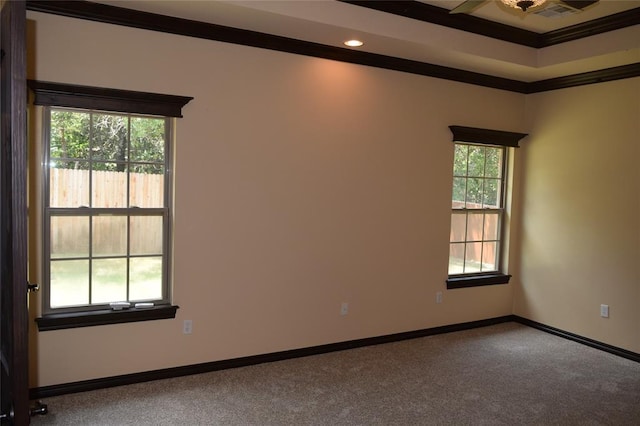 carpeted empty room with a wealth of natural light and crown molding