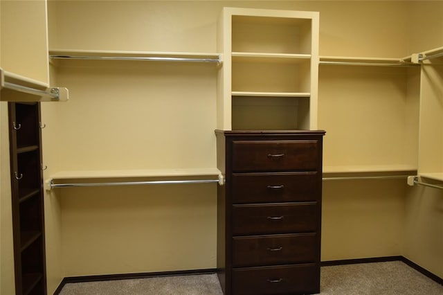 spacious closet featuring light colored carpet