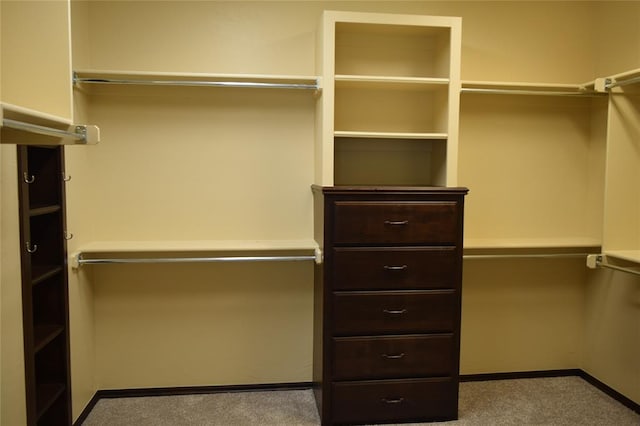 walk in closet with light carpet