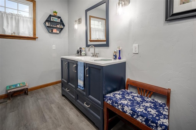 bathroom featuring vanity and hardwood / wood-style flooring