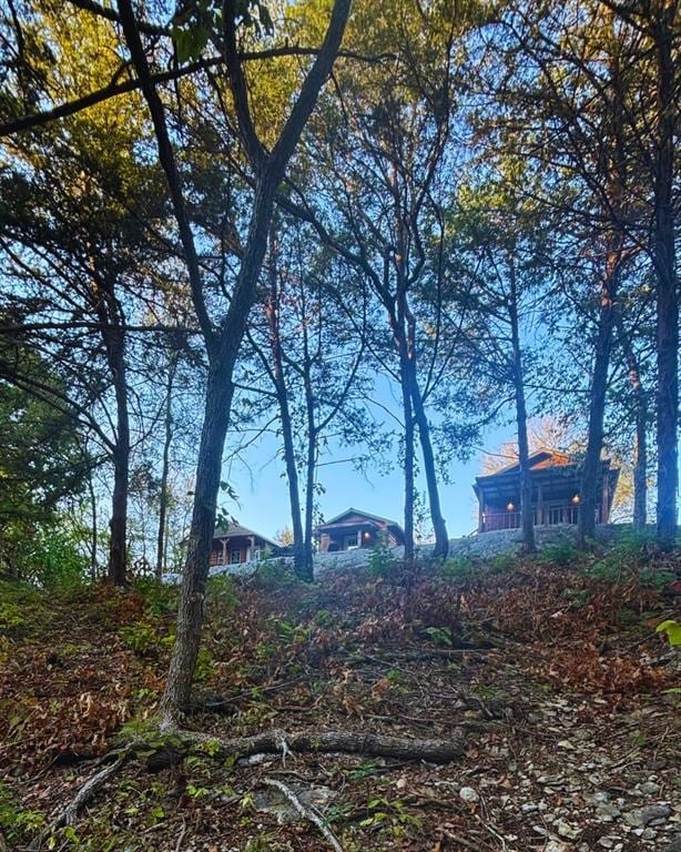 988 Ridge Point Rd, Fort Towson, OK 74735 - view of yard
