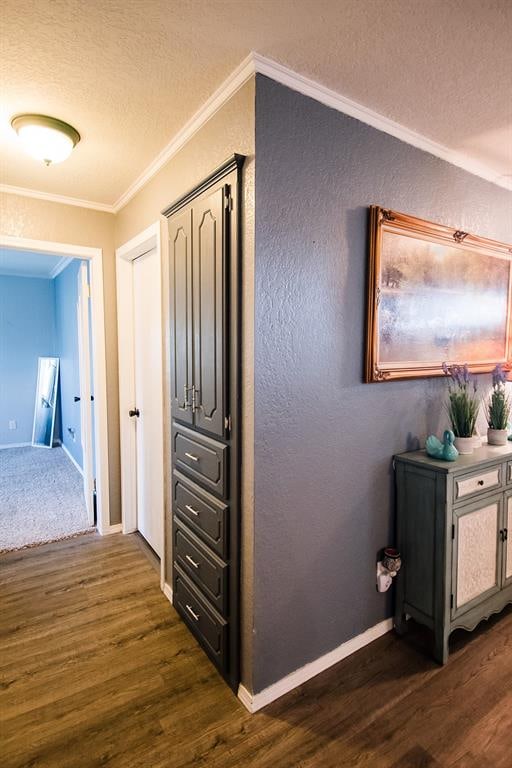 corridor featuring dark hardwood / wood-style floors and crown molding