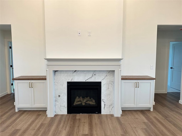 details with wood-type flooring and a high end fireplace