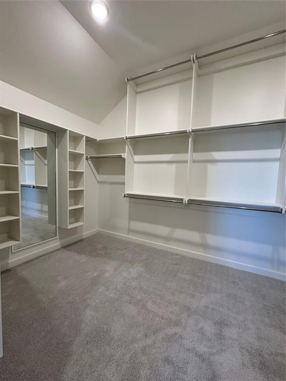 walk in closet featuring vaulted ceiling and carpet