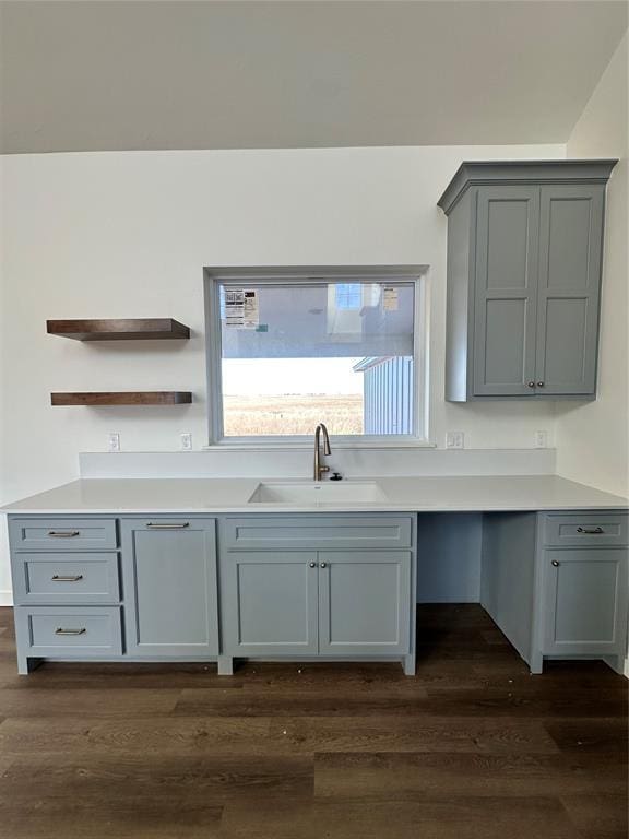 kitchen featuring sink, gray cabinetry, and dark hardwood / wood-style flooring