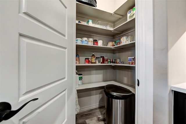 view of pantry