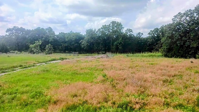 view of landscape featuring a rural view