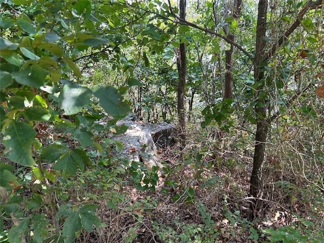 E 1218, Eufaula, OK 74432