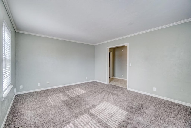 carpeted empty room featuring crown molding