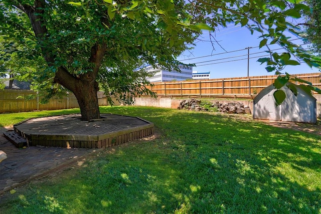 view of yard with a shed