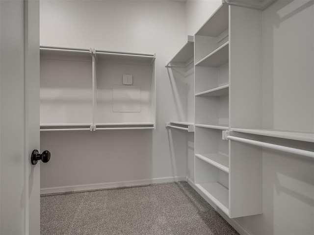 walk in closet featuring carpet floors