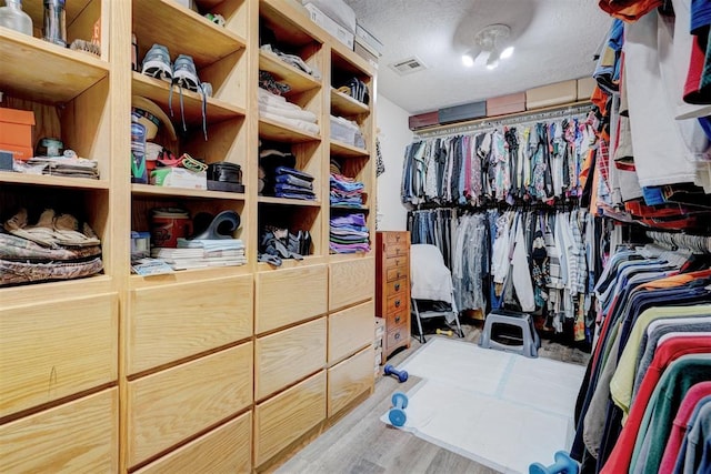 spacious closet with light hardwood / wood-style floors