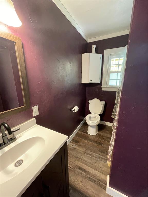 bathroom featuring vanity, hardwood / wood-style flooring, toilet, and ornamental molding