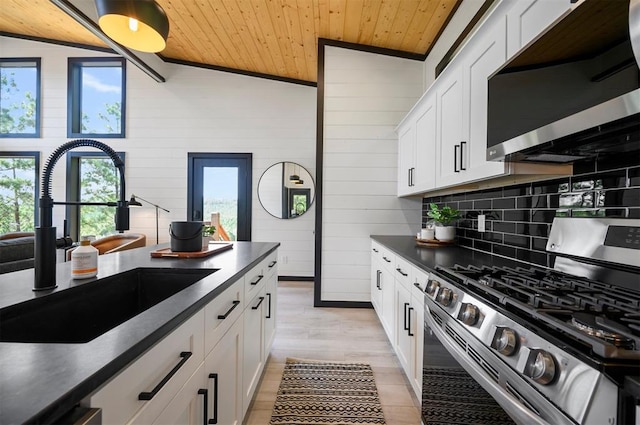 kitchen with a wealth of natural light, sink, lofted ceiling, and appliances with stainless steel finishes