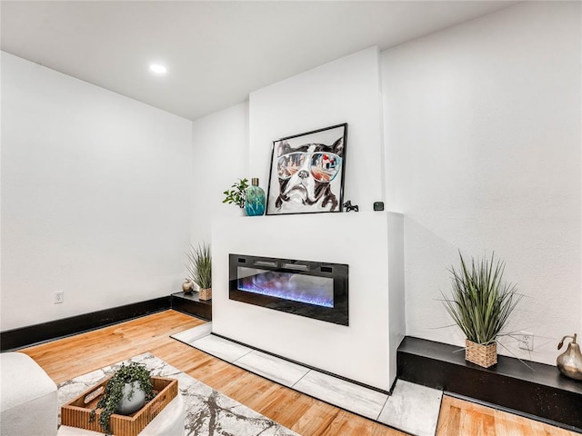 living room featuring wood-type flooring