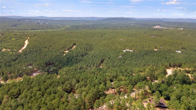 101 Scrub Oak Trl, Broken Bow, OK 74728 - photo 4