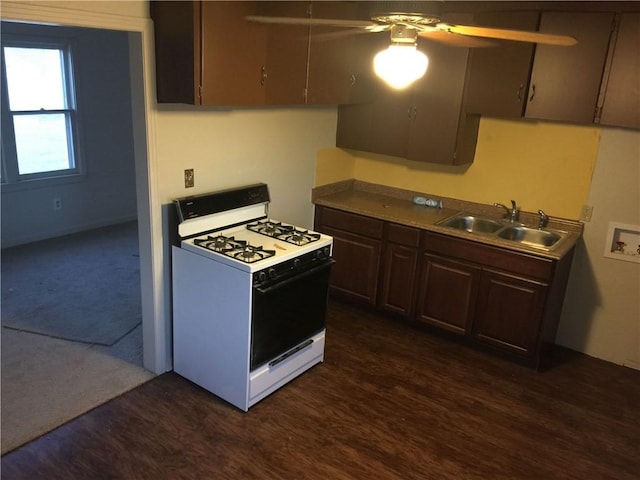 kitchen with dark hardwood / wood-style flooring, dark brown cabinets, ceiling fan, sink, and white gas stove