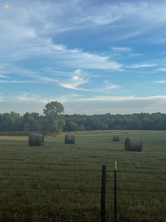 view of yard with a rural view