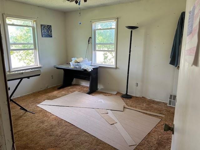 interior space featuring light colored carpet, a textured ceiling, and a wealth of natural light