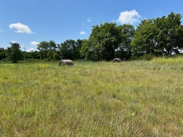 view of nature featuring a rural view